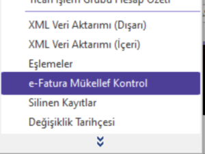 Logo cari kartı sağ tık menüsünde E-Fatura Mükellef Kontrol seçeneği