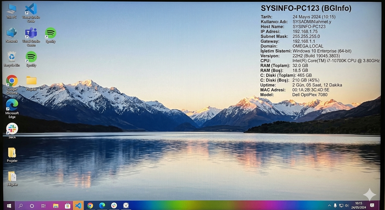 BGInfo Örnek Masaüstü Görünümü
