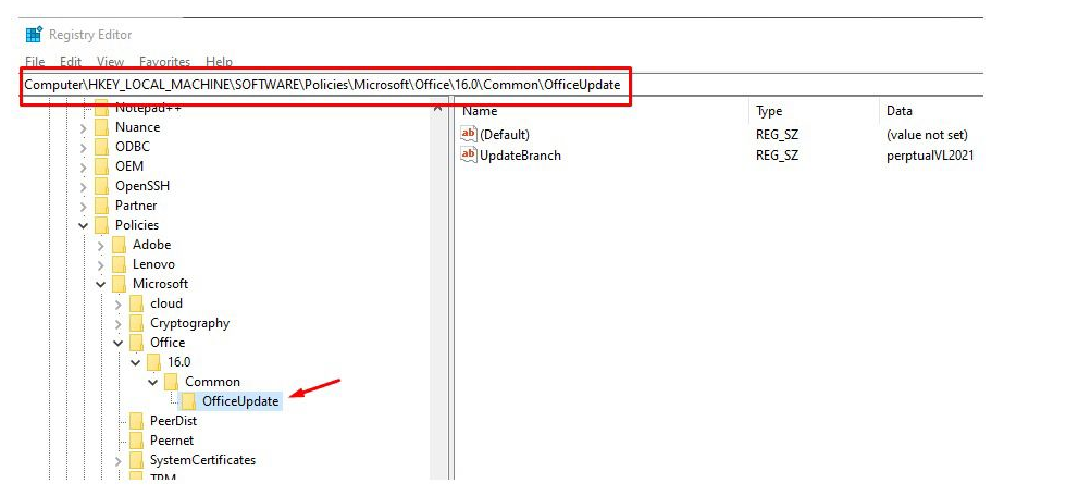 Kayıt Defteri Düzenleyicisi: HKEY_LOCAL_MACHINE\SOFTWARE\Policies\Microsoft\Office\16.0\Common\OfficeUpdate anahtarı ve perpetualVL2021 değerli UpdateBranch kaydı
